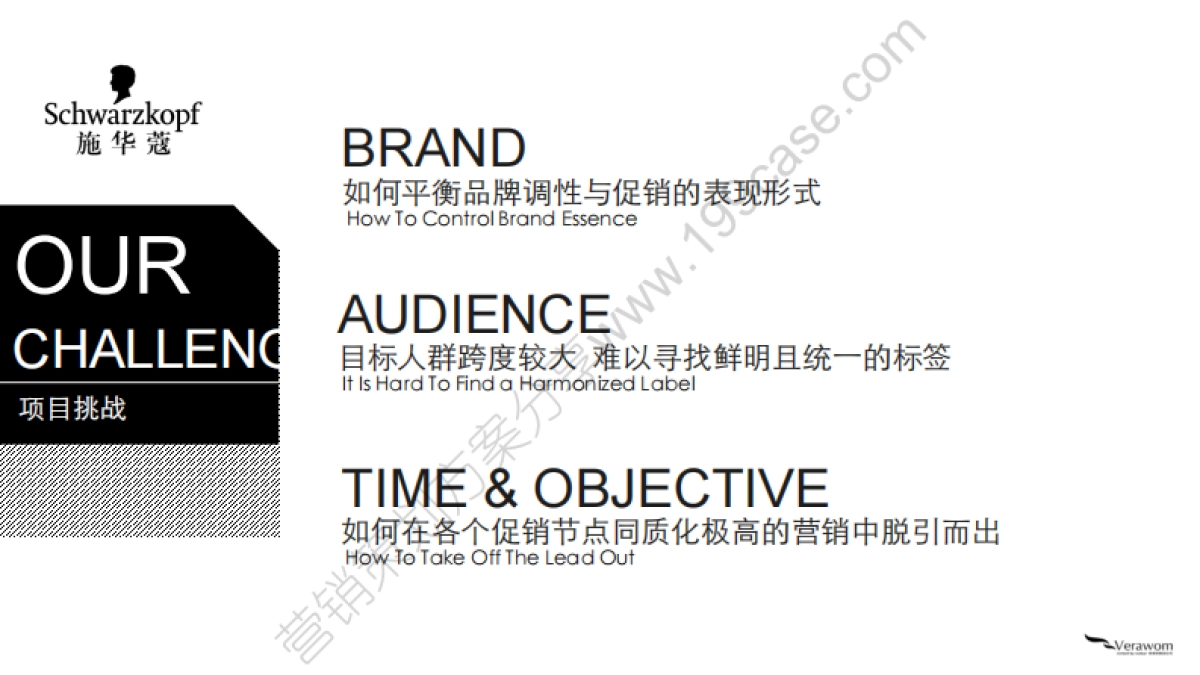 2015施华蔻天猫旗舰店全年传播方案-53P _第6页