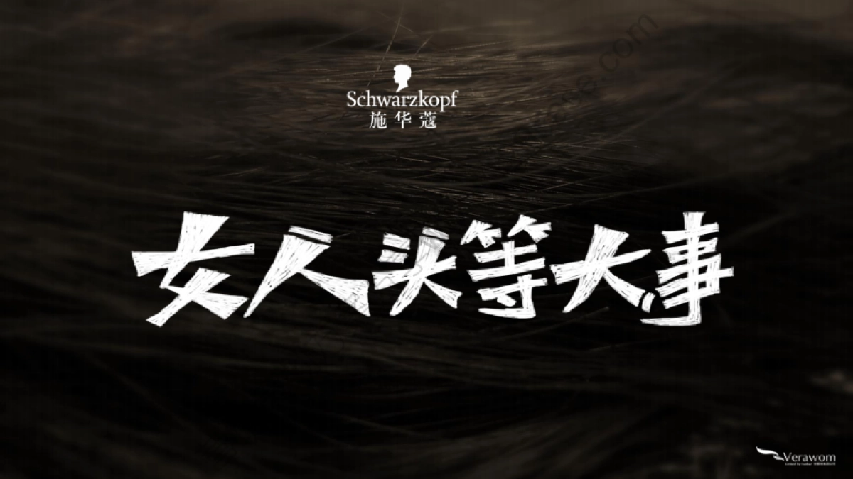 2015施华蔻天猫旗舰店全年传播方案-53P _第8页