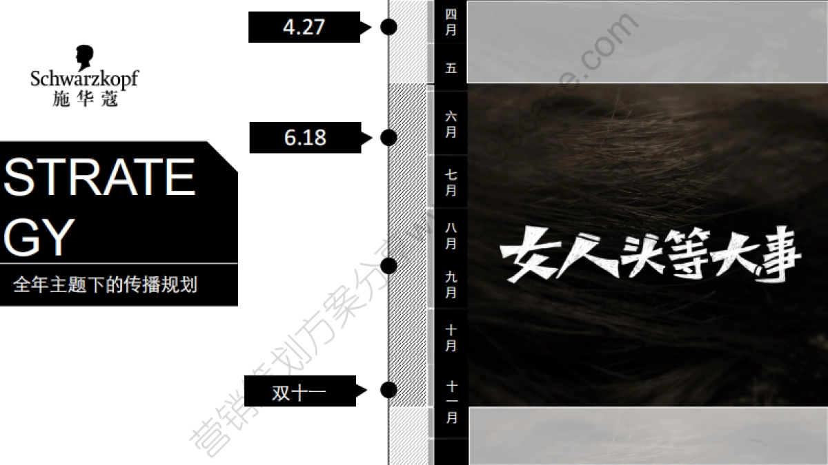 2015施华蔻天猫旗舰店全年传播方案-53P _第9页