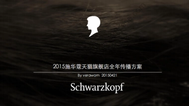 2015施华蔻天猫旗舰店全年传播方案-53P 