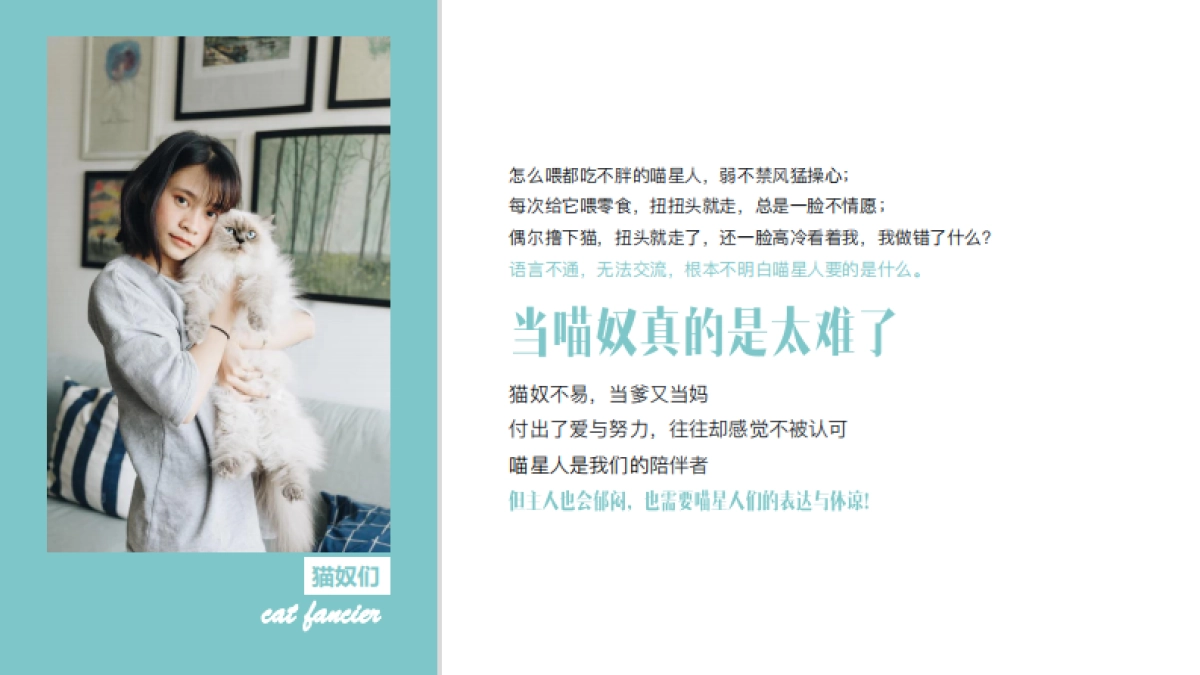 2020天猫国际宠物品类扶植计划营销方案_第3页