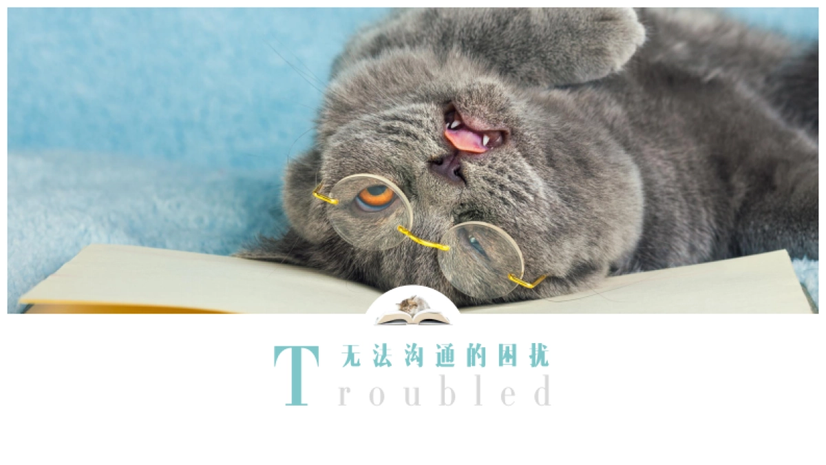 2020天猫国际宠物品类扶植计划营销方案_第5页