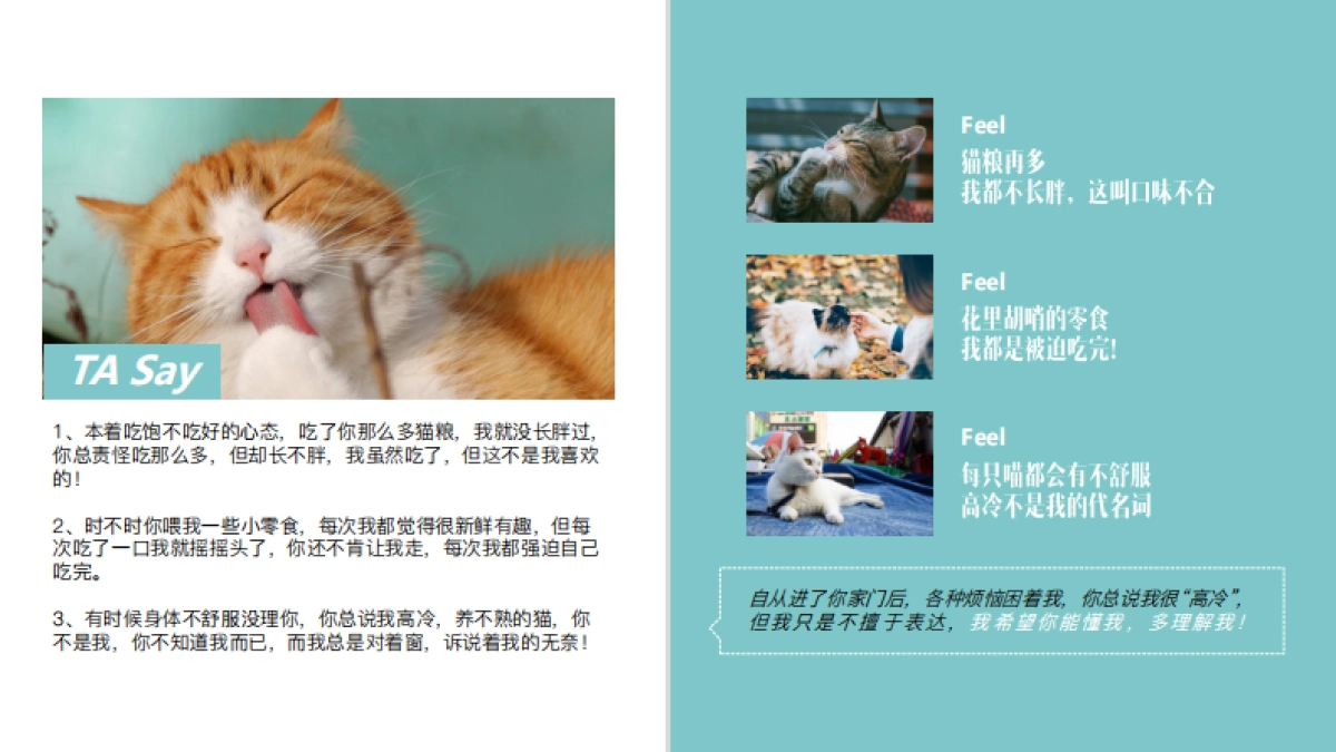 2020天猫国际宠物品类扶植计划营销方案_第7页