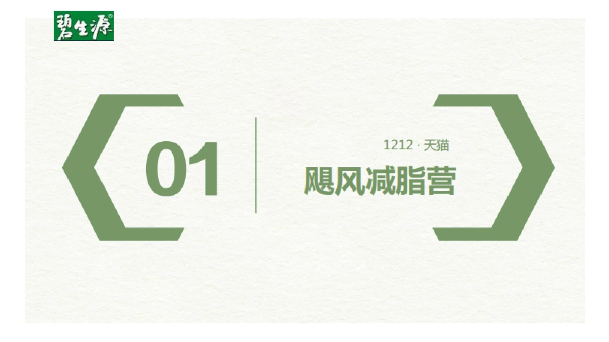 碧生源电商冬季活动方案天猫_第3页