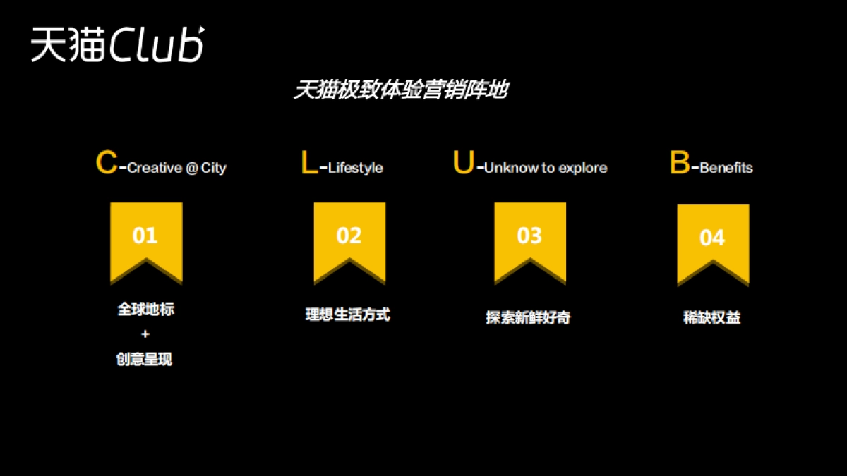 天猫Club简介方案_第3页