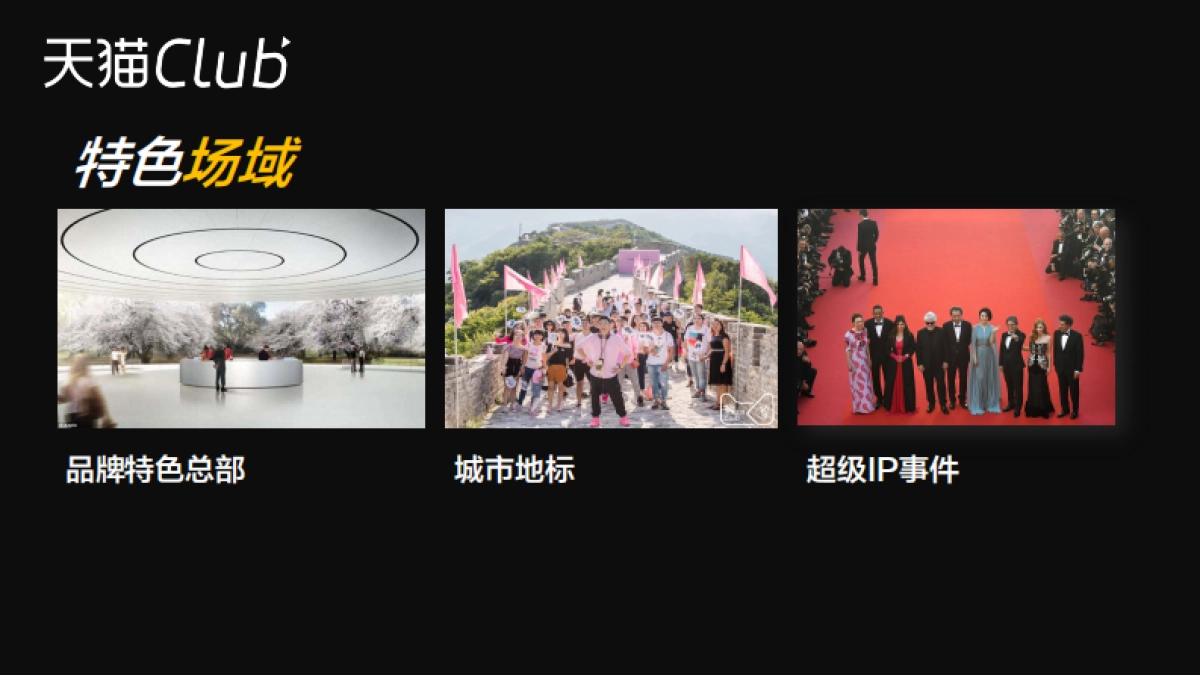 天猫Club简介方案_第5页