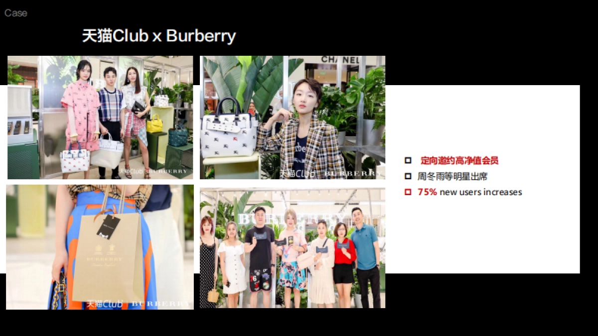 天猫Club简介方案_第9页