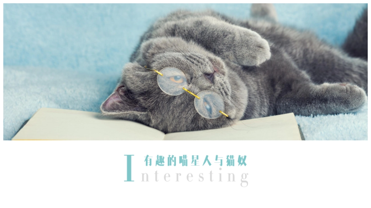 天猫国际宠物品类扶植计划营销方案_第2页