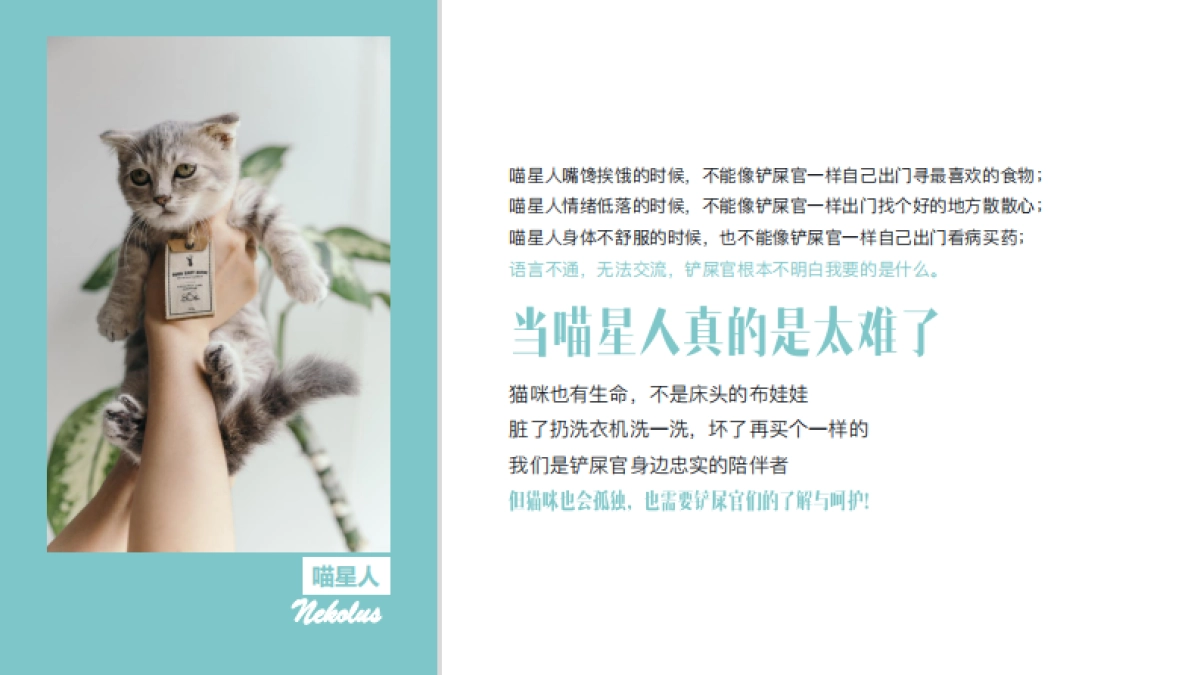 天猫国际宠物品类扶植计划营销方案_第4页