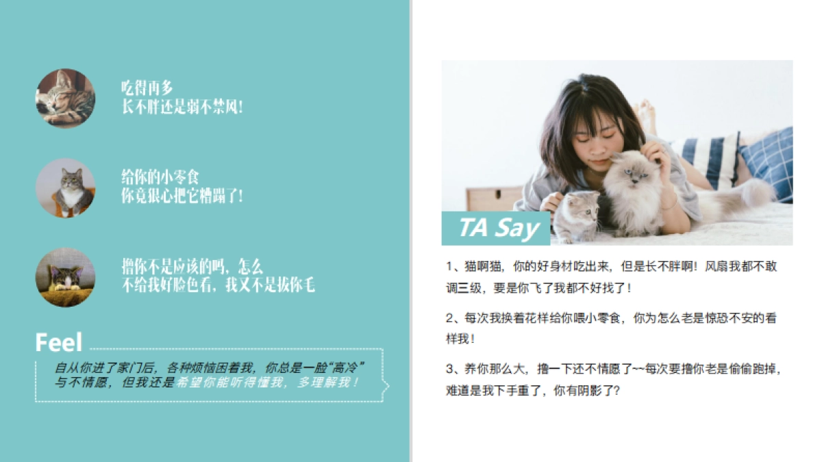 天猫国际宠物品类扶植计划营销方案_第6页