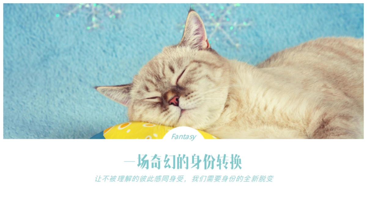 天猫国际宠物品类扶植计划营销方案_第8页