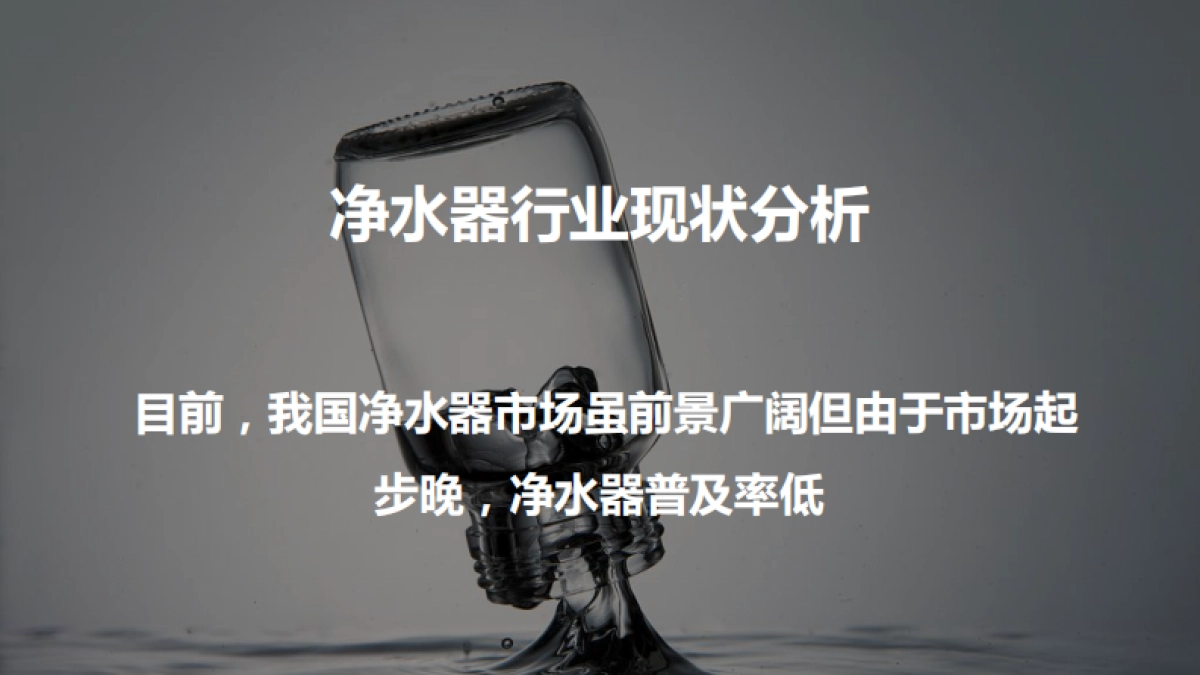 天猫净水器品类日营销方案_第2页