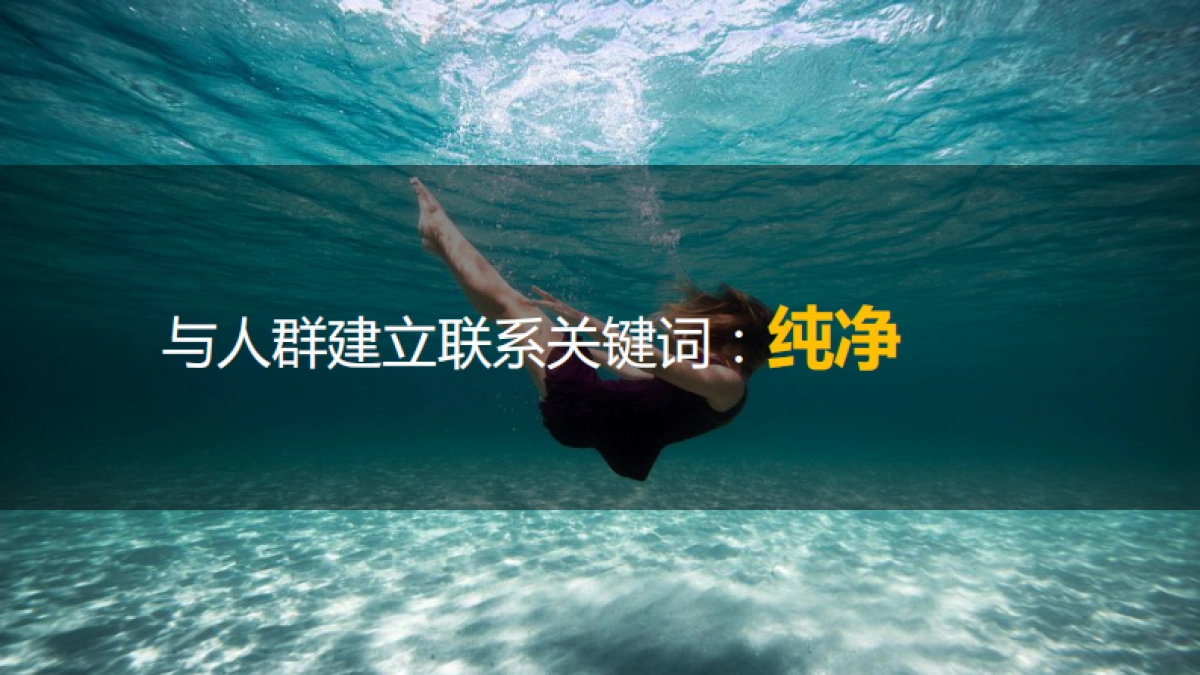 天猫净水器品类日营销方案_第8页