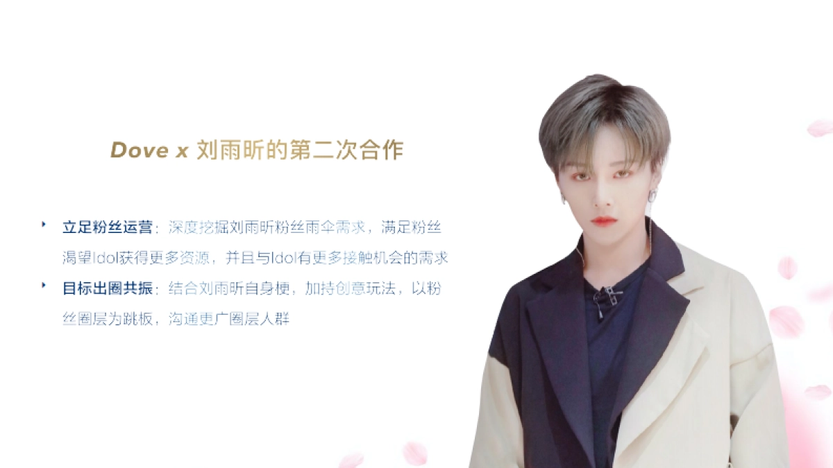 天猫全明星 Dove Hair x 刘雨昕粉丝营销方案_第5页
