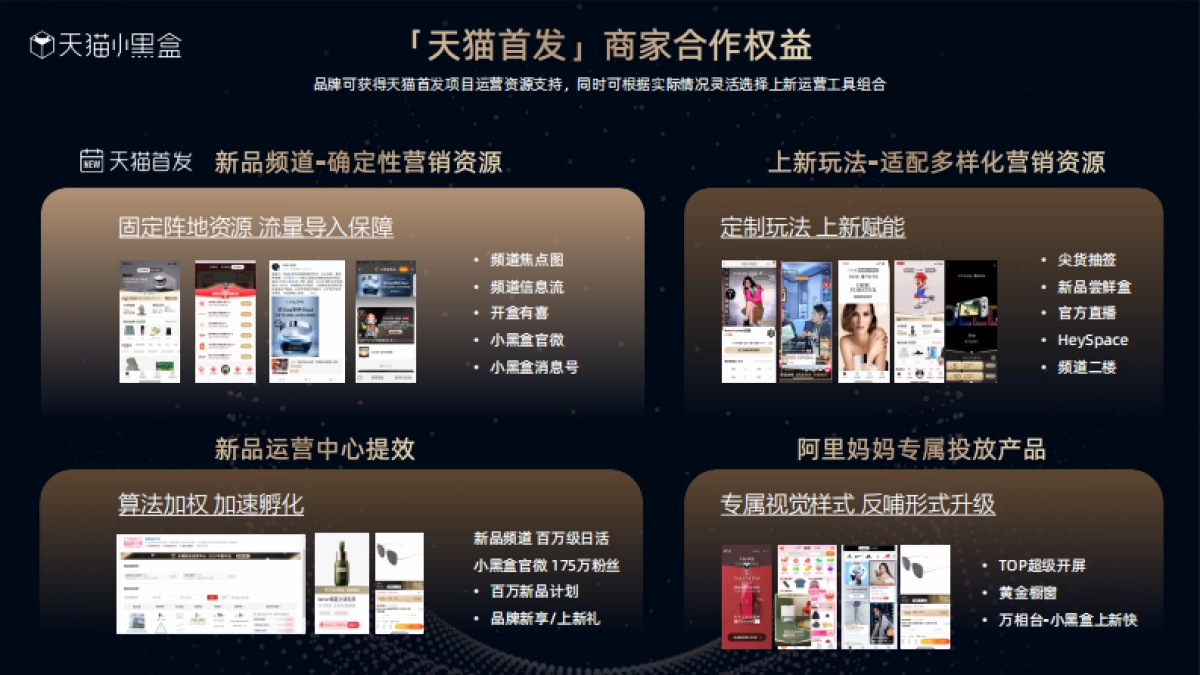 天猫首发营销合作介绍（阿里妈妈合作版）_第4页