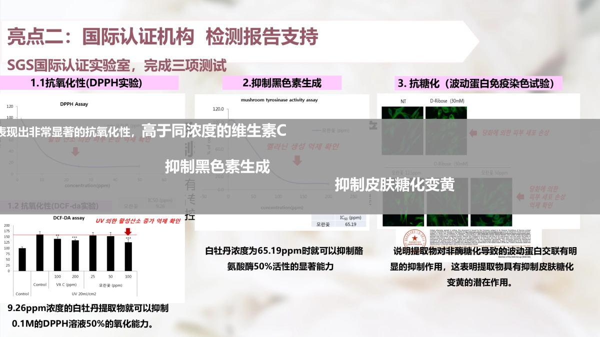2019悦诗风吟白牡丹 x 天猫小黑盒方案-悦诗风吟白光瓶_第10页