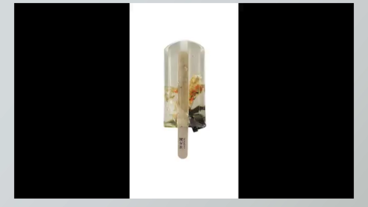 沁园天猫超品日细化方案_第10页