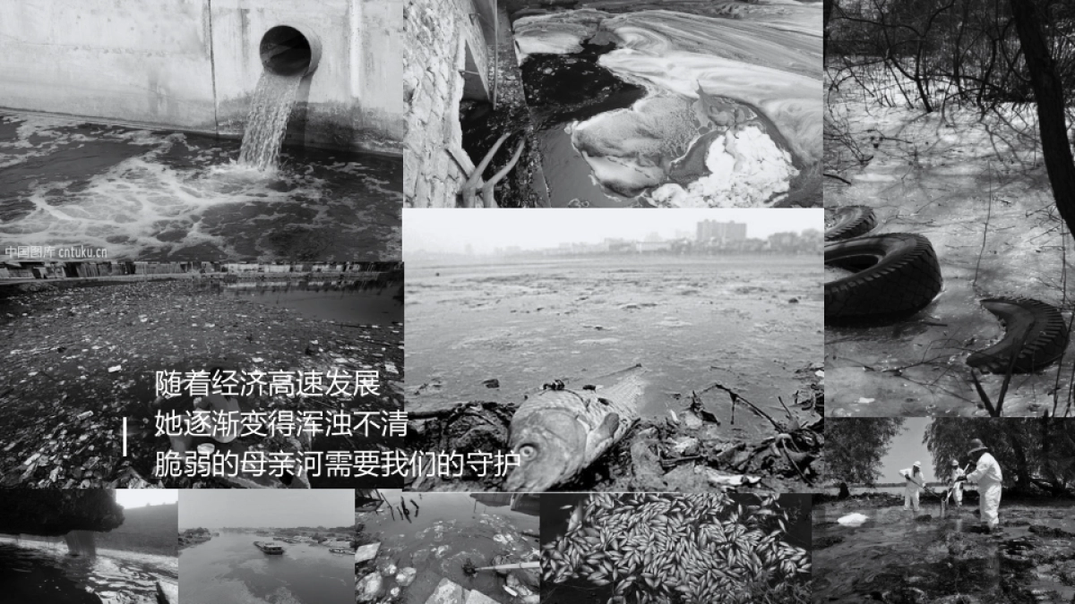 沁园天猫超品日细化方案_第5页