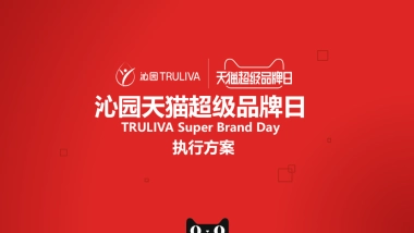 沁园天猫超品日细化方案