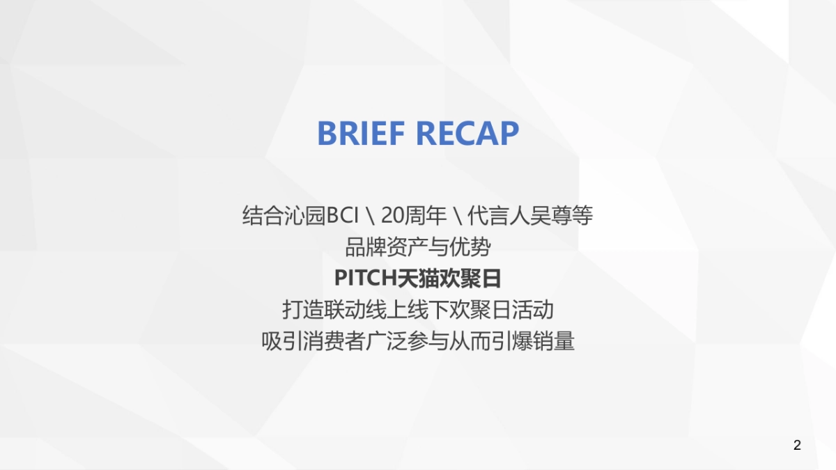 沁园天猫欢聚日方案_第2页