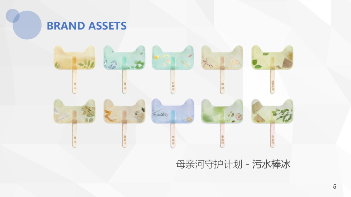 沁园天猫欢聚日方案_第5页