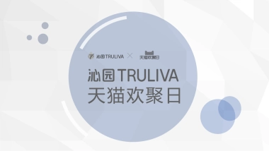 沁园天猫欢聚日方案