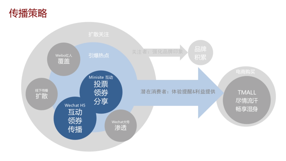 舒肤佳_天猫运动季action plan_第5页