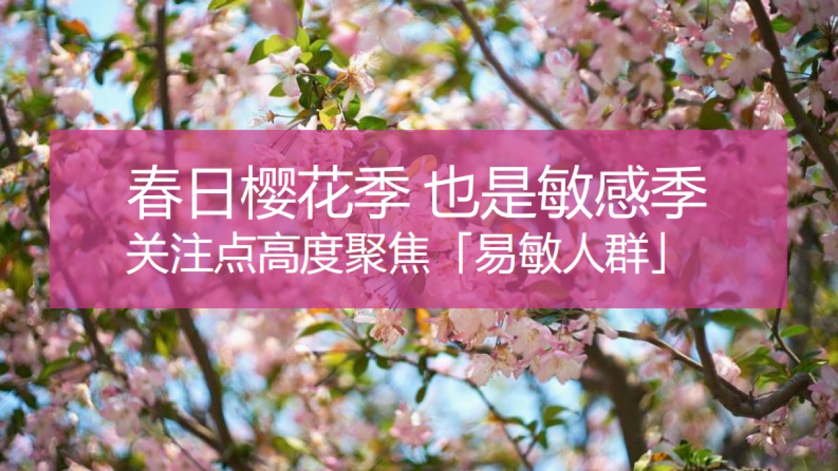 樱花季京东陪伴计划招商方案_第2页