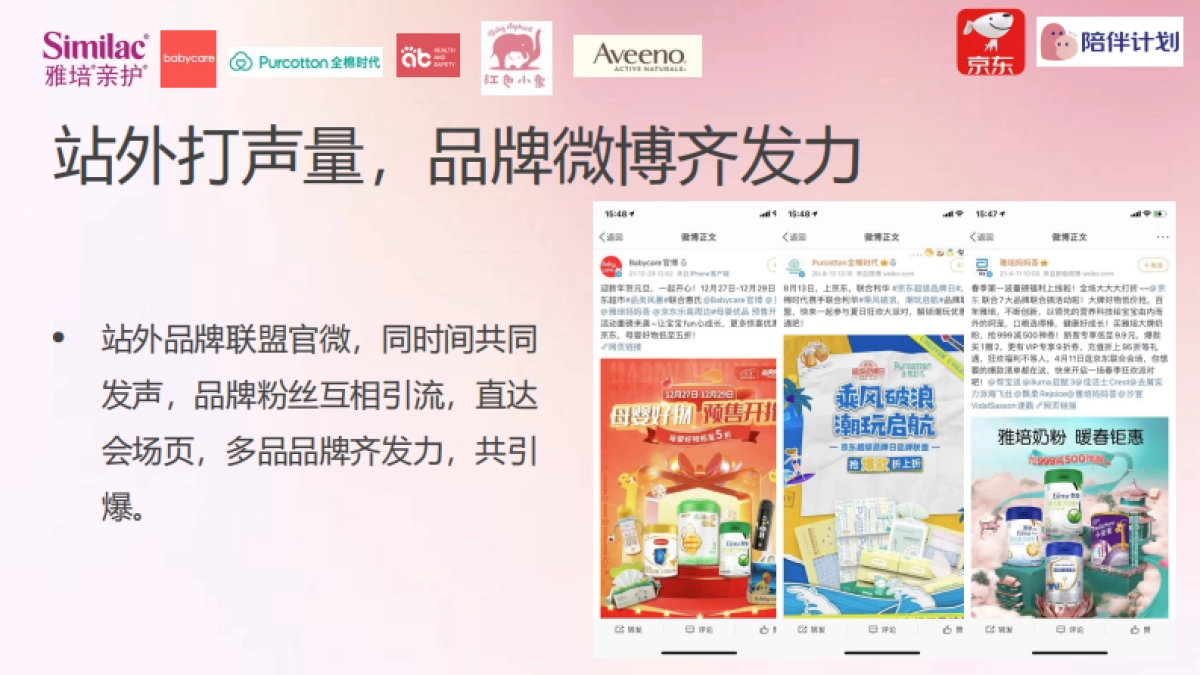 樱花季京东陪伴计划招商方案_第8页