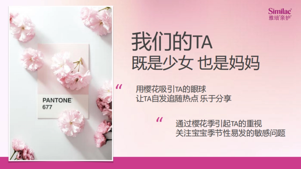 樱花季京东陪伴计划招商方案_第9页