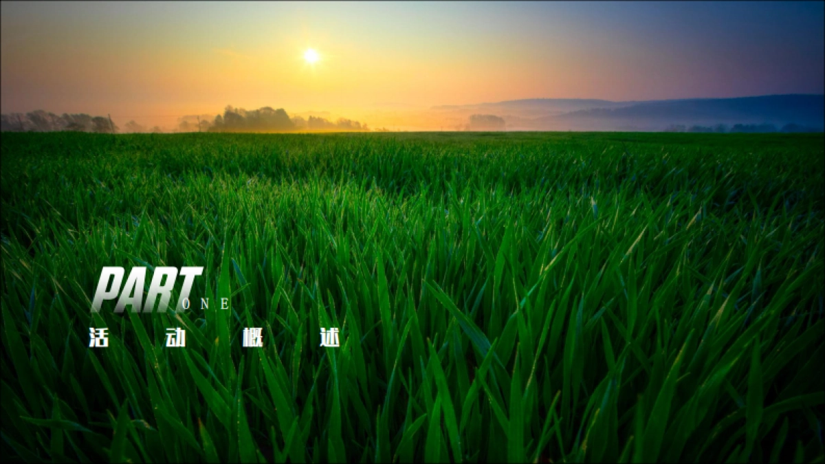 植物宣言产品上市发布会暨京东自营平台首发仪式活动方案_第3页