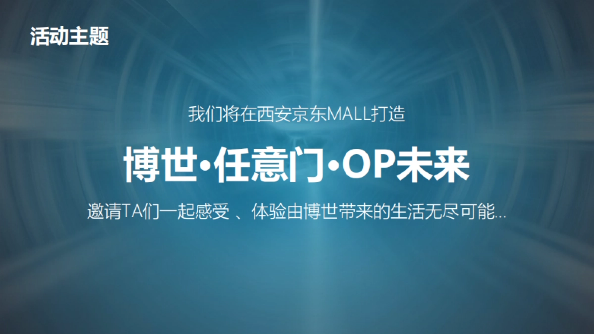 2021年京东品牌日活动方案_第10页