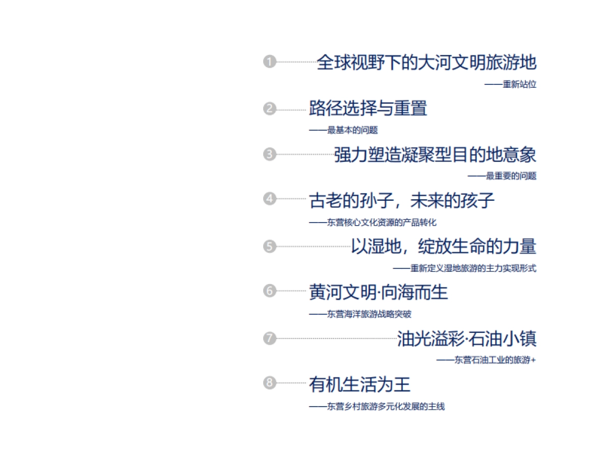 东营全域旅游发展战略（京师天成）_第2页