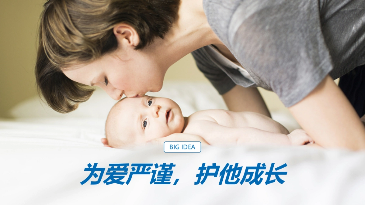 母婴品牌京东渠道营销方案_第6页