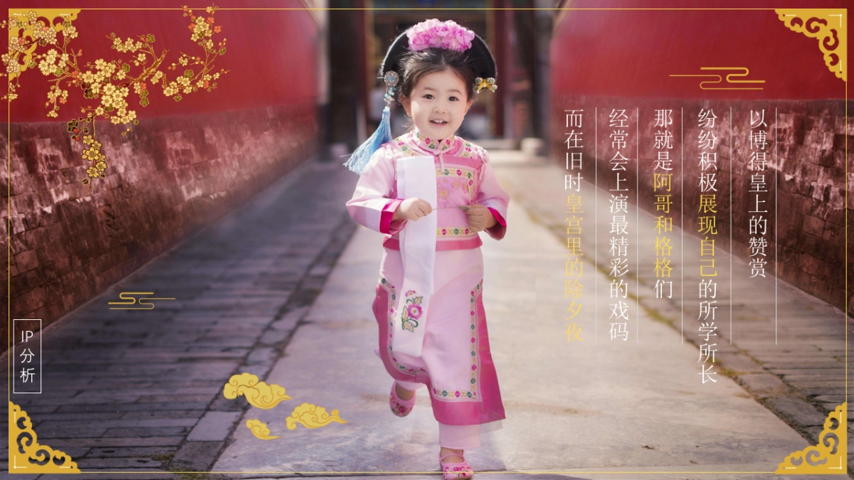 雅培京东年货节整合营销方案_第4页