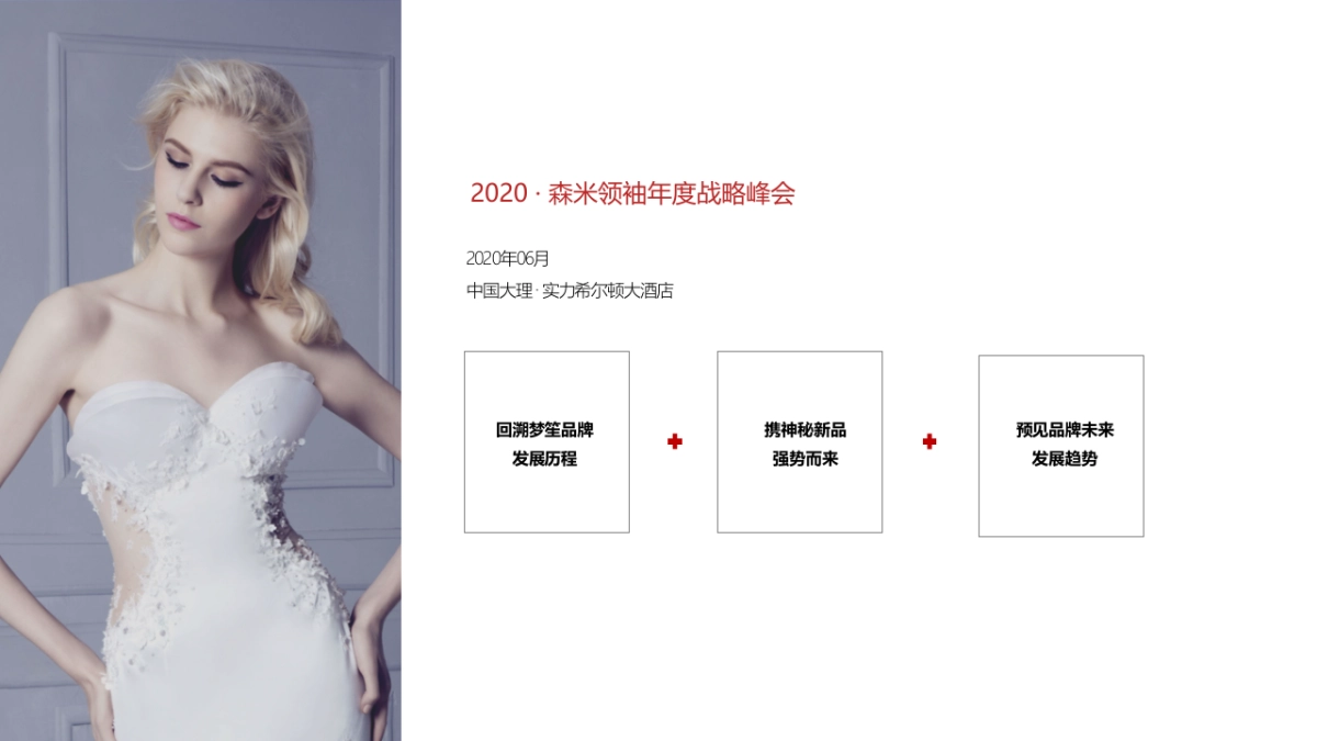 2020微商品牌领袖年度战略峰会活动策划方案_第5页