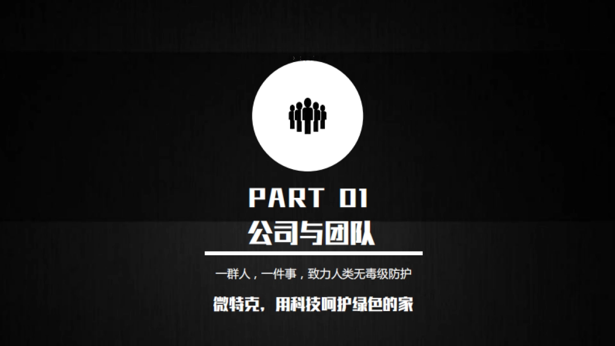 wittc nano江苏微特克纳米科技商业计划书_第4页