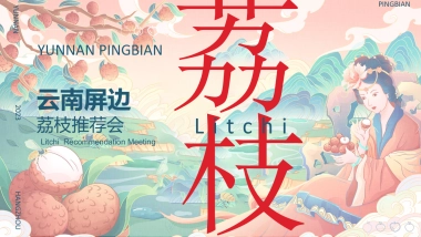 互动荔枝微商市集活动策划方案