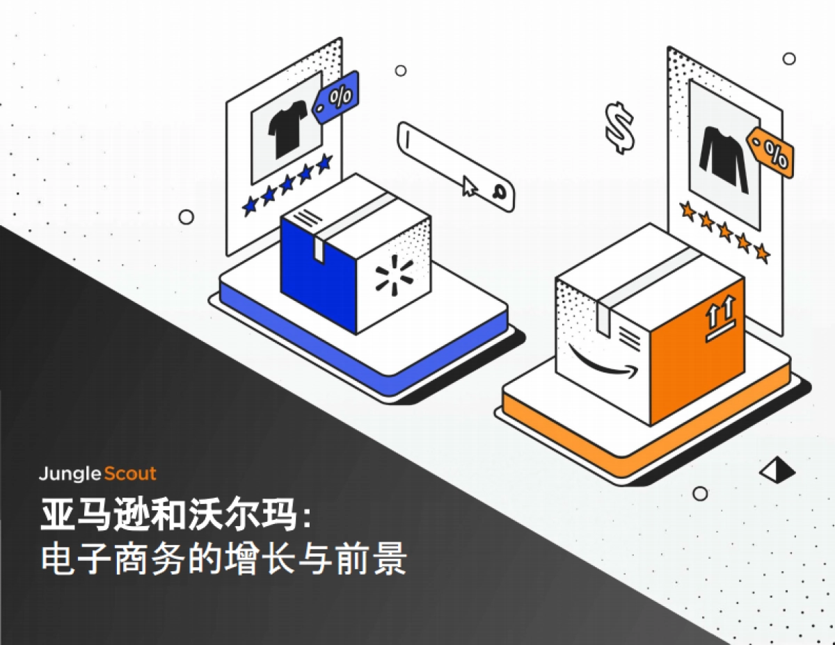 JungeSouct：亚马逊和沃尔玛：电子商务的增长与前景_第1页