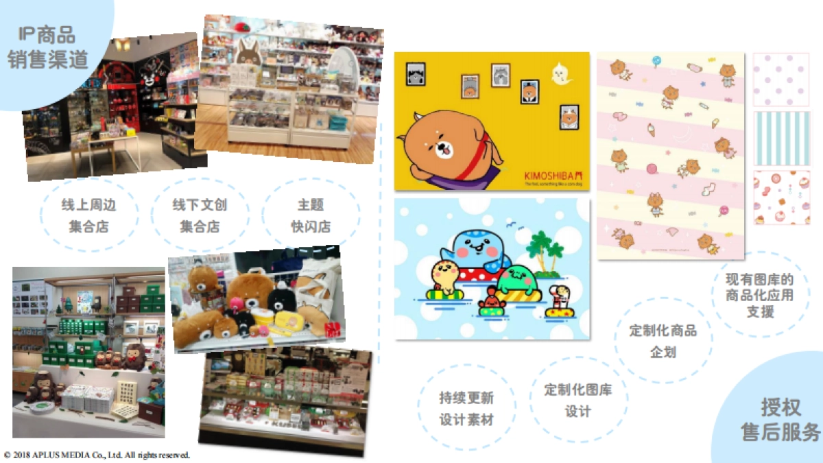 【Aplus】IP手册介绍_第4页