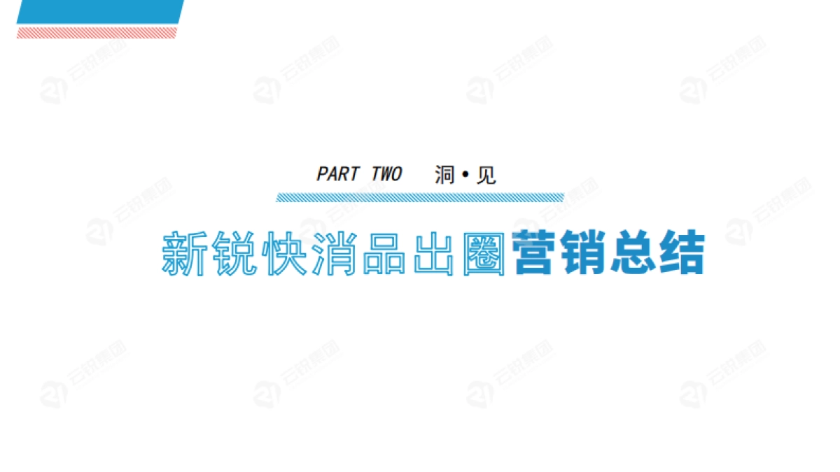 新锐快消品出圈营销分析报告_第10页