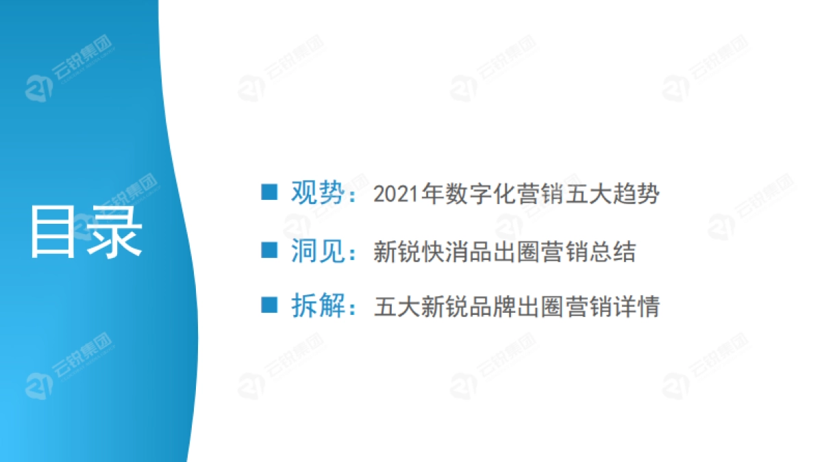 新锐快消品出圈营销分析报告_第3页