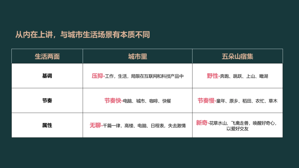 2024野奢康养文旅景区IP打造及全年策略推广方案_第10页
