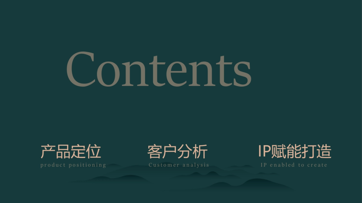 2024野奢康养文旅景区IP打造及全年策略推广方案_第2页