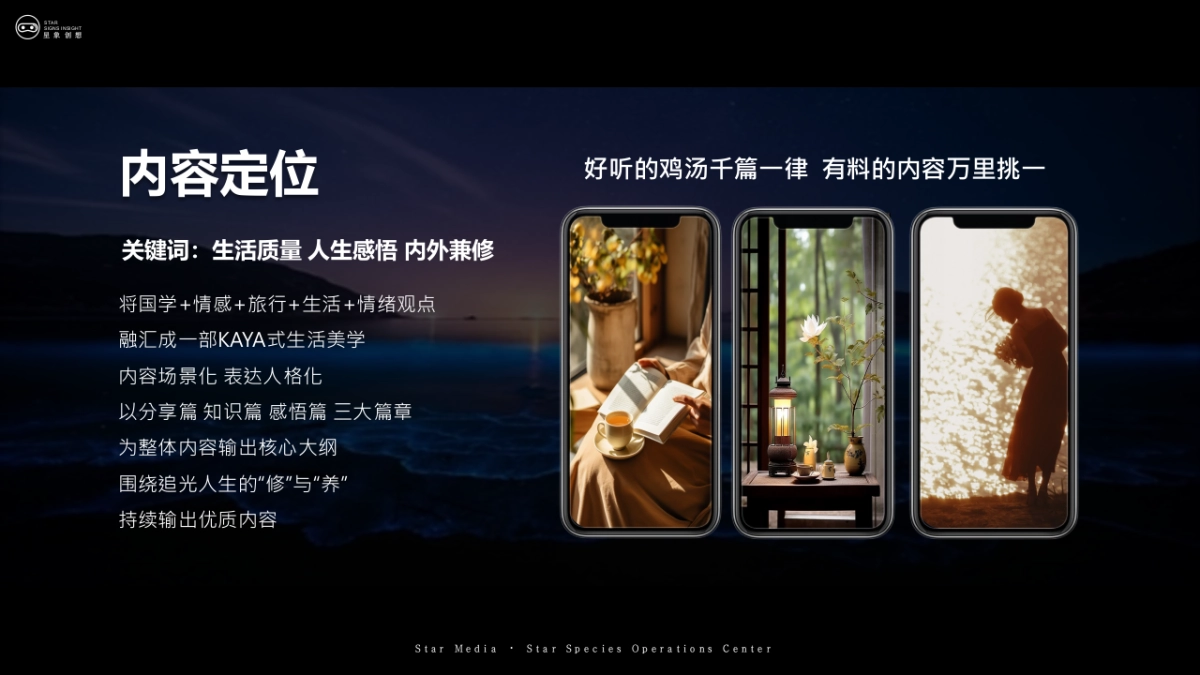 2024造物者城市IP新星打造计划_第8页