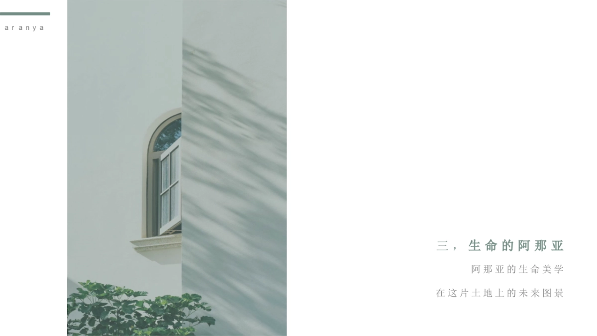 凡奇创意中旅阿那亚九龙湖整合营销方案_第5页