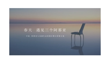 凡奇创意中旅阿那亚九龙湖整合营销方案