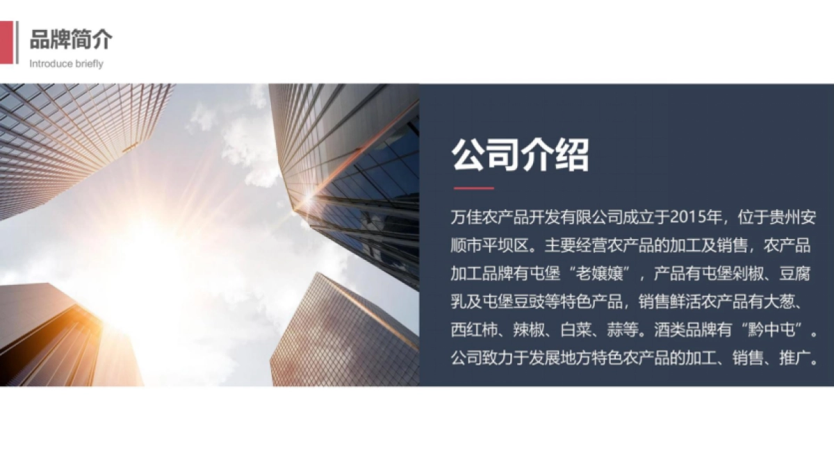 农产品品牌电商运营全案_第4页