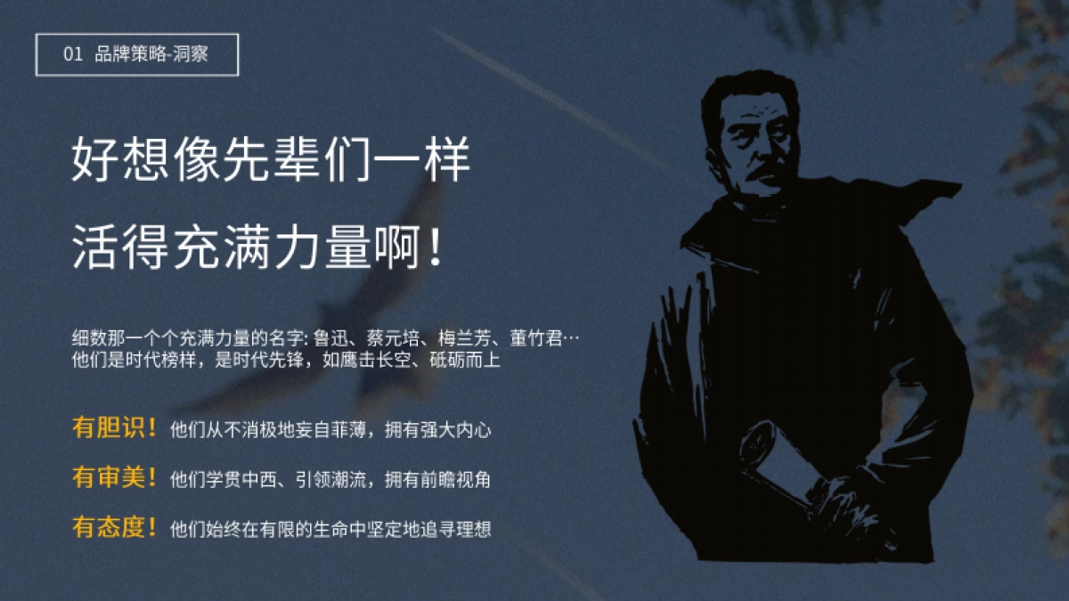 2023先锋都城品牌重塑方案_第7页