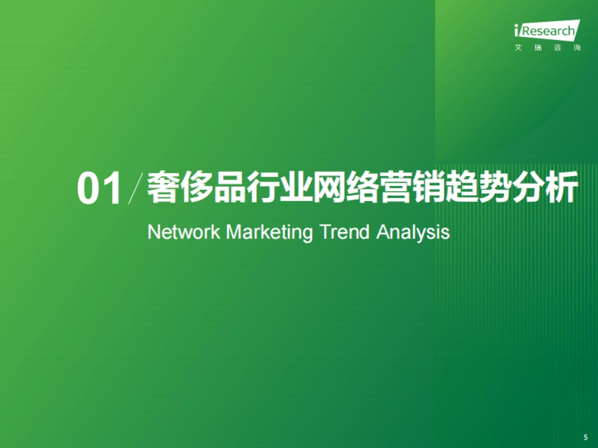 2024年奢侈品行业网络营销监测报告_第5页